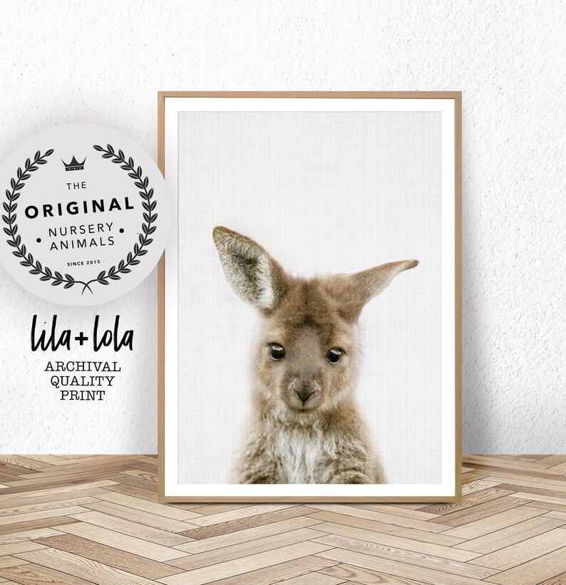 Kangaroo Print Australian Animal Wall Art Large Wall Art Etsy