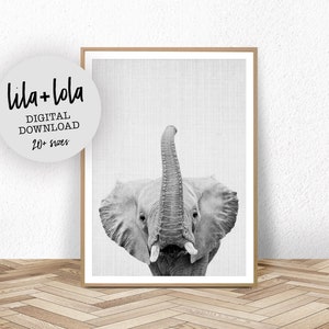 Elephant Print, Safari Nursery Decor, Nursery Wall Art Animal, Printable Instant Digital Download, Kids Room Art, Boys Room Decor