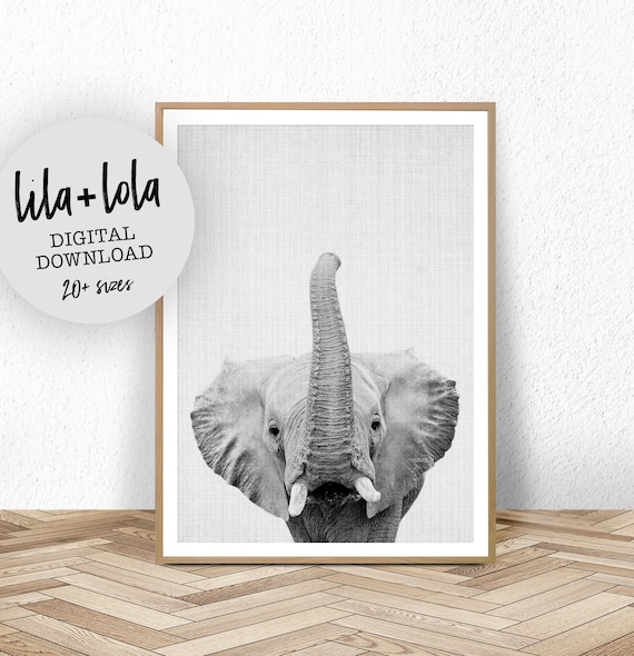 Baby Elephant Print - Digital Download