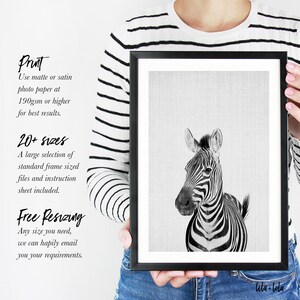 Zebra Print, Nursery Printable, Animal Wall Art, Printable Instant Download, Large Safari Decor Poster, Cute African Photo, Black and White image 4