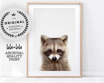 Nursery Animal Print, Raccoon Baby Wall Art, Woodland Decor, Digital Download, Printable Wall Art, Large Forest Animal Photo Poster