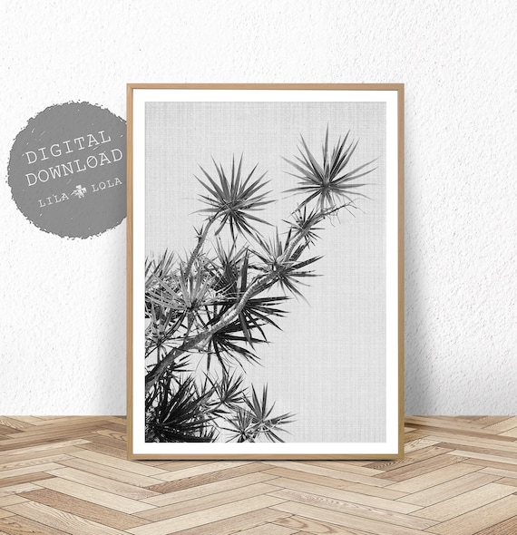 Large Wall Art, Printable Digital Download, Black and White Plant Photography, Beach Wall Art, Black and White Botanical Plant Printable