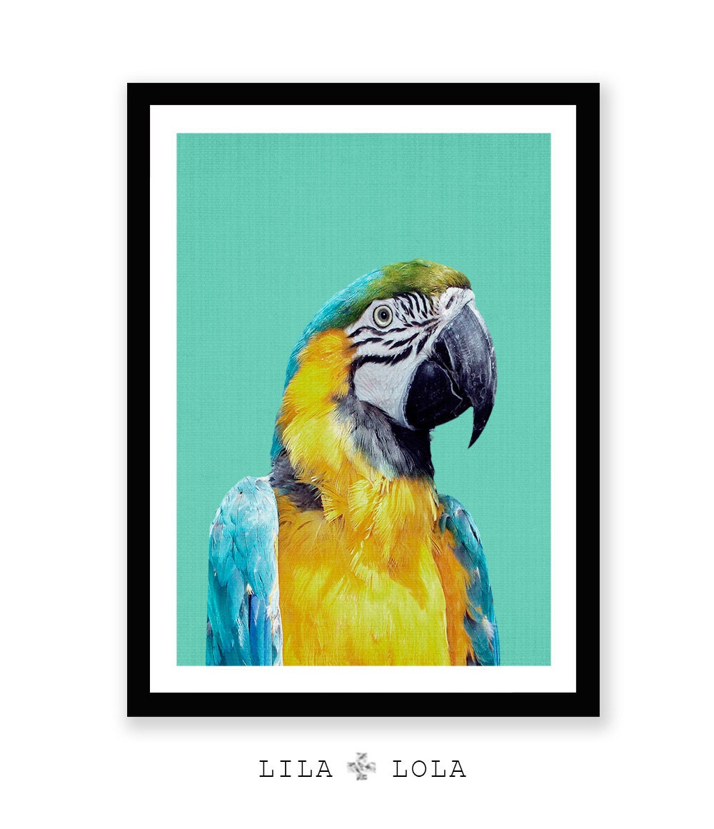 Tropical Bird Print, Parrot Wall Art, Bird Photography, Macaw Parrot