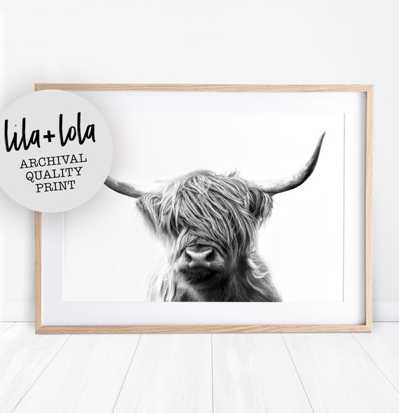 Highland Cow Print - Printed and Shipped