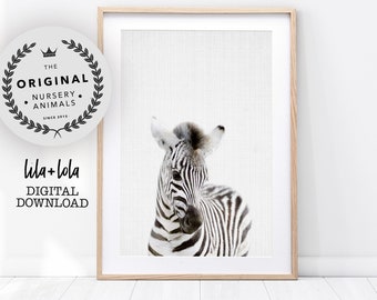 Safari Nursery Wall Art, Baby Zebra Animal Print, Baby Room Decor, Printable Digital Download, Large Poster, African Animal, Kids Room Print