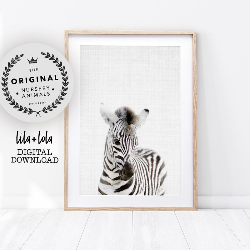 Picture of Zebra Nursery - Etsy