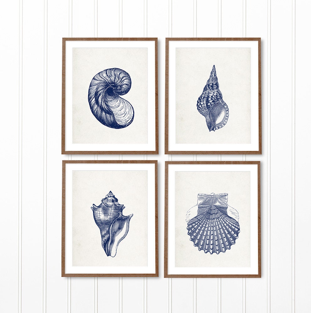 Blue Sea Shell Print Set of 4 Nautical Coastal Beach Home - Etsy