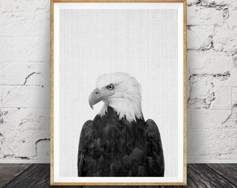 Eagle Print, Hawk Photography, Bird of Prey, Animal Wall Art, Black and White Photo, Printable Art, Instant Download, Modern Minimal, Large