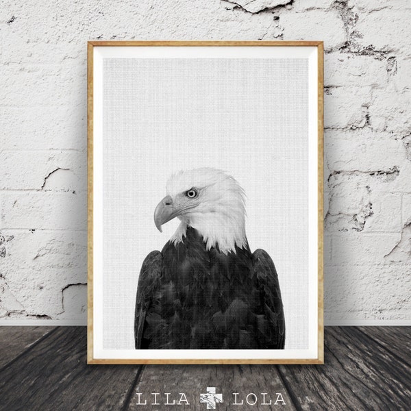 Eagle Print, Hawk Photography, Bird of Prey, Animal Wall Art, Black and White Photo, Printable Art, Instant Download, Modern Minimal, Large