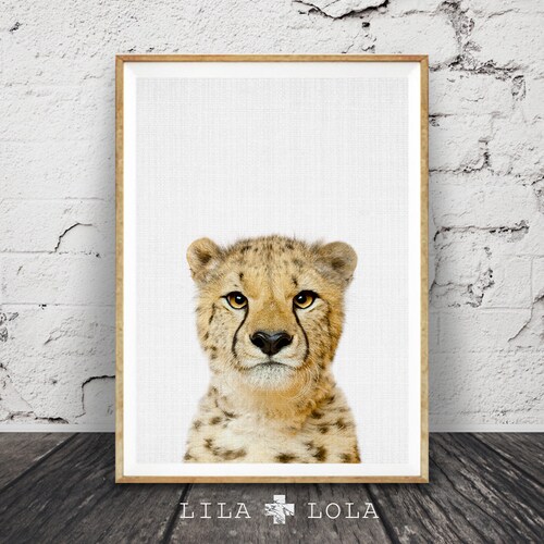Nursery Wall Art Cheetah Print African Safari Animal Etsy