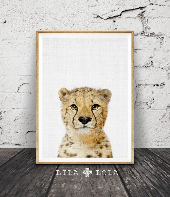 Nursery Wall Art, Cheetah Print, African Safari Animal, Printable Decor, Digital Download, Peekaboo Animal, Large Poster, Baby Animal