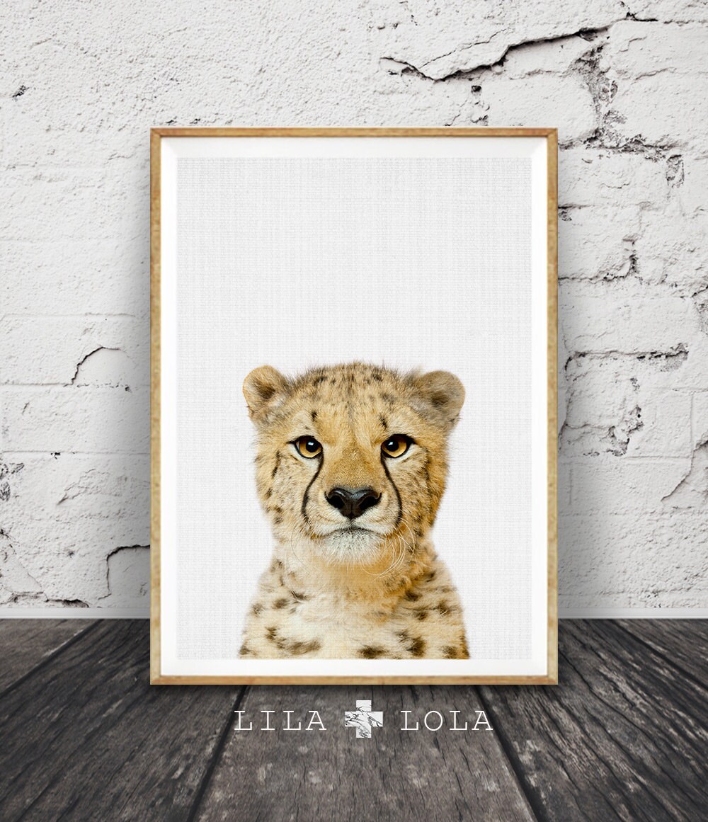 Nursery Wall Art Cheetah Print African Safari Animal Printable Decor Digital Download Peekaboo Animal Large Poster Baby Animal