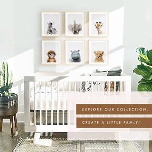 May include: A white crib with a white mattress and a white crib bumper. There are six framed prints on the wall above the crib, each featuring a different animal. The prints are of a zebra, an elephant, a giraffe, a monkey, a hippopotamus, and a lion. The text "EXPLORE OUR COLLECTION, CREATE A LITTLE FAMILY!" is on a brown rectangle in the bottom right corner of the image.