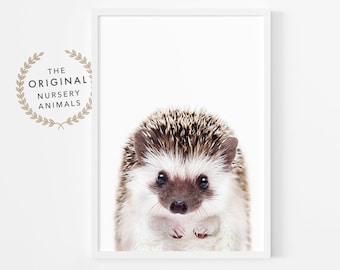 Hedgehog Nursery Art Print: Woodland Animal Poster (Instant Download)