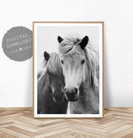 Downloadable Prints Large Wall Art Prints Animal Art Black and White