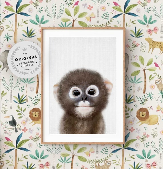 Baby Monkey Wall Art Print ~ Safari Nursery Animal ~ Kids Room Poster ~ Printable Digital Download ~ Grey Background