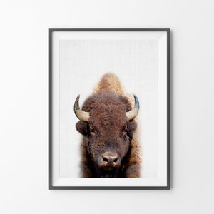 Buffalo Print, Bison Photo, Printable Poster, Instant Digital Download, Boys Room Decor, Nursery Animal, Modern Minimalist, Photography image 8