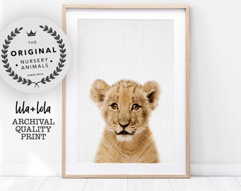 Baby Lion Print, Animal Print for Nursery, Safari Nursery Decor, Printed and Shipped Giclee, Small to Large Lion Cub Poster