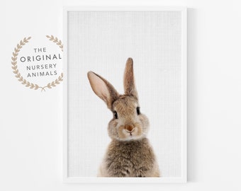 Bunny Rabbit Print ~ Nursery Wall Art ~ Printed and Shipped ~ Baby Animal Poster