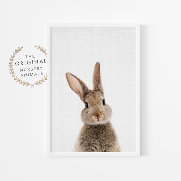 Bunny Rabbit Print ~ Nursery Wall Art ~ Impreso y enviado ~ Baby Animal Poster