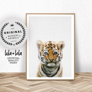 Tiger Print, Baby Animal Wall Art, Safari Nursery, Large Wall Art, Babies Room Poster, Printable Nursery Tiger Cub Safari