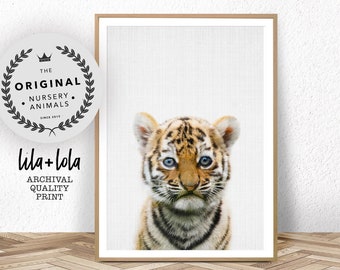 Tiger Print, Baby Animal Wall Art, Safari Nursery, Large Wall Art, Babies Room Poster, Printable Nursery Tiger Cub Safari