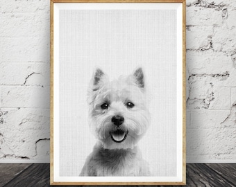 West Highland White Terrier Print, Dog Wall Art Photo, Printable Poster Digital Download, Nursery Animal Decor, Modern Minimalist Puppy Gift