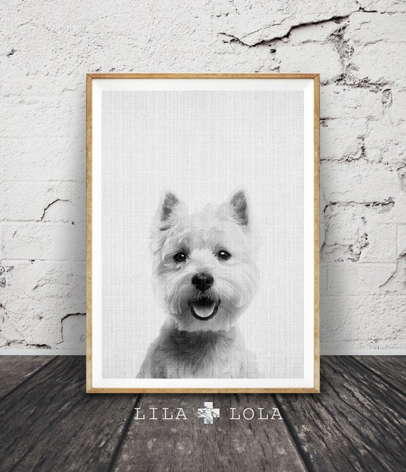 West Highland White Terrier Print, Dog Wall Art Photo, Printable Poster Digital Download, Nursery Animal Decor, Modern Minimalist Puppy Gift