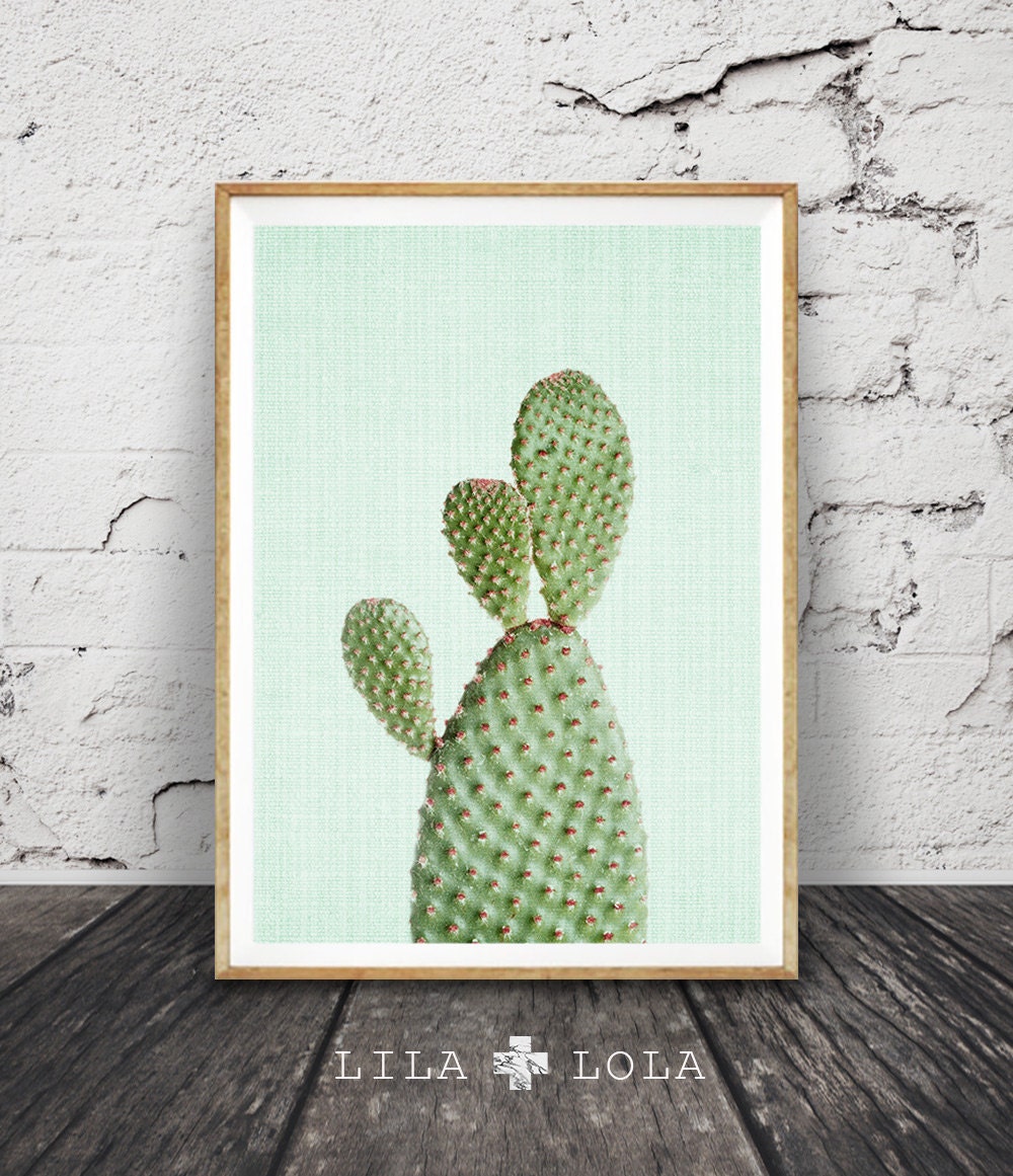 pastel green prickly pear cactus fine art image for wall gallery decor