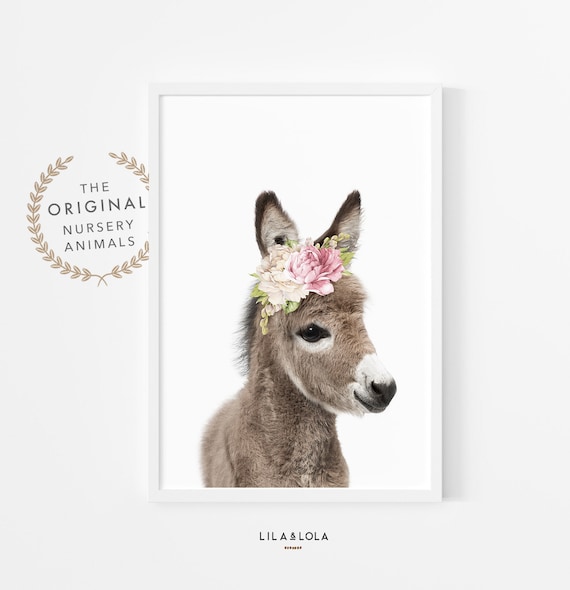 Baby Donkey Wall Art Print, Nursery Decor, Farm Animal with Flowers, Girls Bedroom Poster, Pink Roses