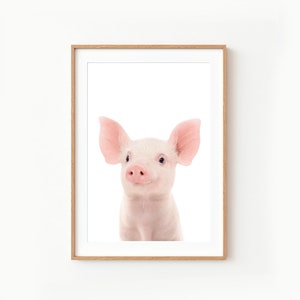 Baby Pig Wall Art Print ~ Nursery Piglet Decor ~ Printable Digital Download ~ White Background