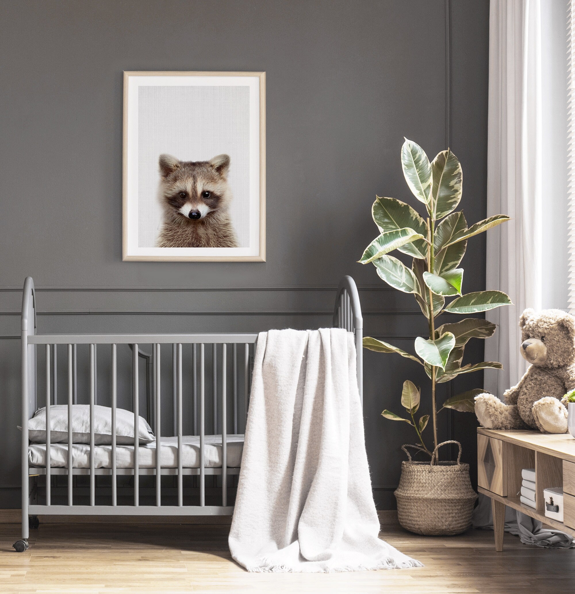 Raccoon Print, Baby Animal, Woodland Animals Wall Art