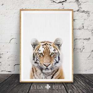 Tiger Print, Nursery Animal Wall Art, Safari Nursery Decor, Baby Boys Room, Kids Tiger Photo, Printable Large Poster Instant Download