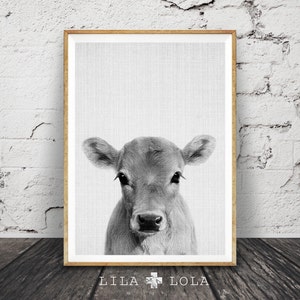 Kalb Druck, Baby Kuh Bauernhof Tier Wand Kunst, Kinderzimmer Dekor, große druckbare Poster digitaler Download, Bauernhaus Dekor, Foto Babyzimmer