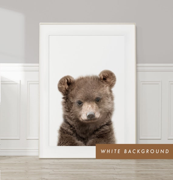 Baby Bear Wall Art Print ~ Woodland Animal Nursery Decor ~ Printable Digital Download ~ White Background