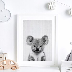 Koala Print, Australian Animal Nursery Print, Nursery Wall Art Animals ...