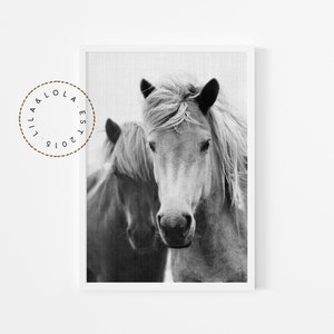 Black and White Horse Wall Art Print Printable Digital Download image 1