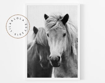 Black and White Horse Wall Art Print ~ Printable Digital Download