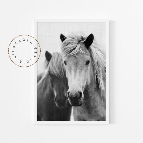 Black and White Horses Print Horse Portrait Wall Art DIGITAL Etsy