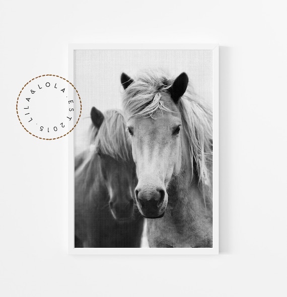 Black and White Horse Wall Art Print ~ Printable Digital Download