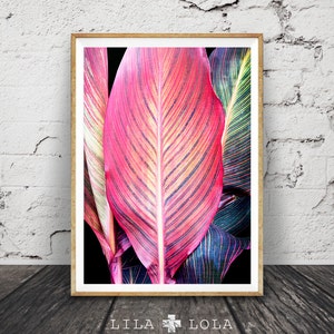 Tropical Leaf Print, Tropical Wall Art, Colourful Decor, Printable Plant Leaf Photo, Instant Digital Download, Magenta Yellow Green Purple