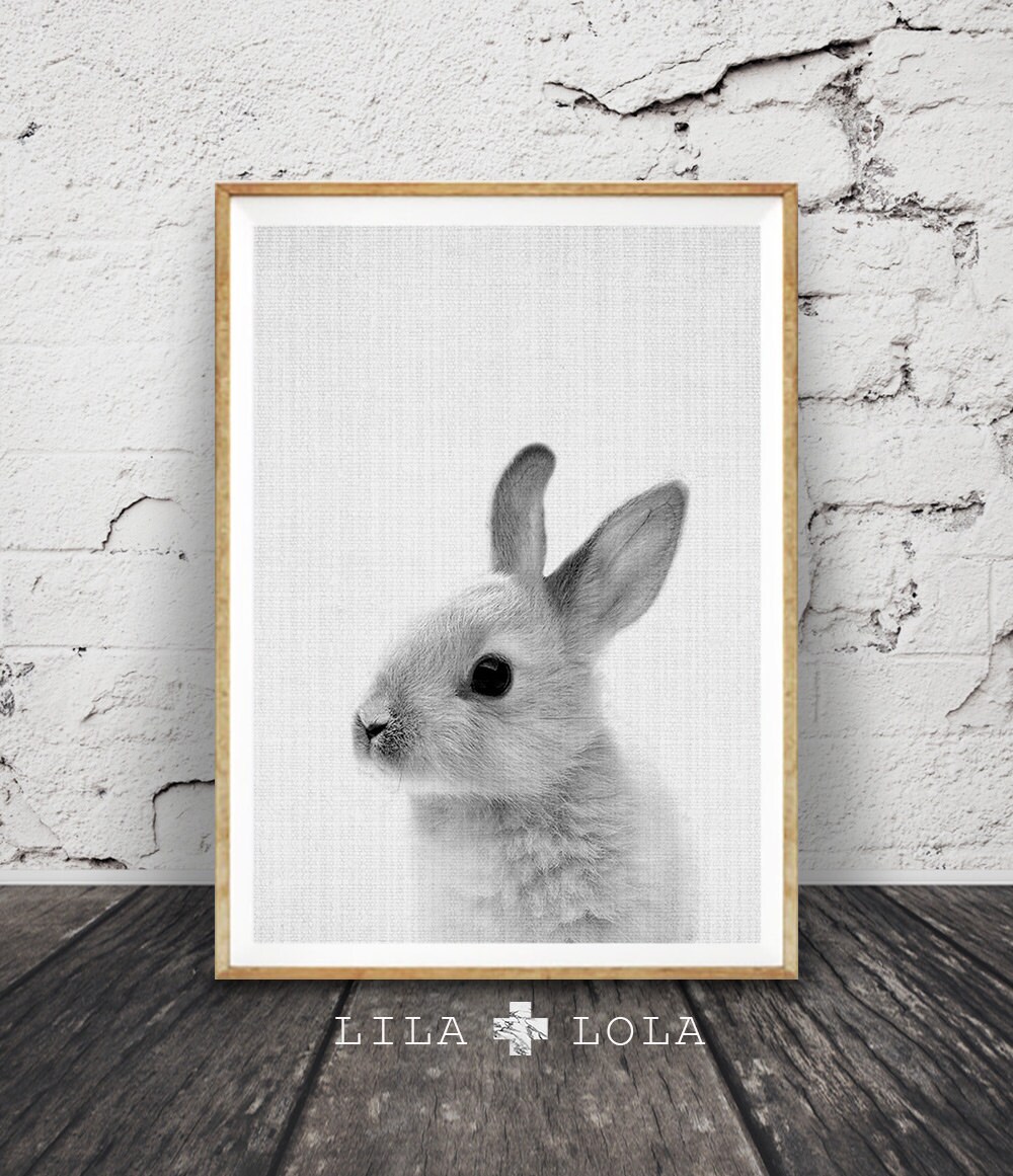 bunny rabbit pictures for nursery