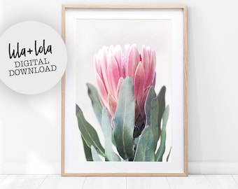 Protea Print, Floral Wall Art, Printable Botanical Poster, Digital Download, Australian Native Photography, Pink Flower Decor, Native Print