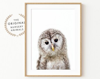 Baby Owl Nursery Print: Woodland Animal Art (Digital Download)
