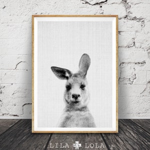 Kangaroo Print, Australian Animal Wall Art, Nursery Decor Black and White, Printable Kids Room Large Poster, Digital Download, Australiana