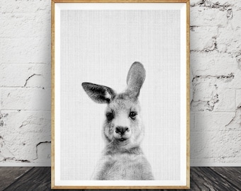 May include: Black and white photograph of a kangaroo looking directly at the camera. The kangaroo is framed in a light wood frame.