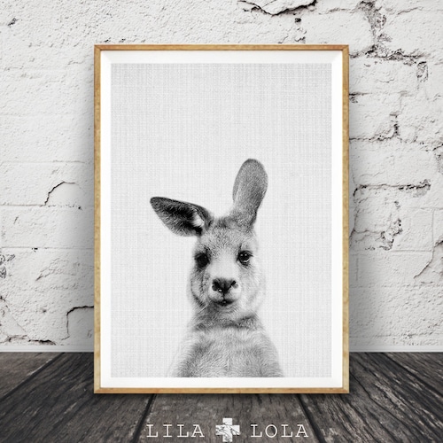 Koala Print Australian Animal Nursery Print Nursery Wall Art Etsy