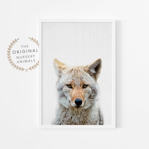 Coyote Print - Woodland Animal Nursery Decor - Boys Room Poster - Printable Digital Download