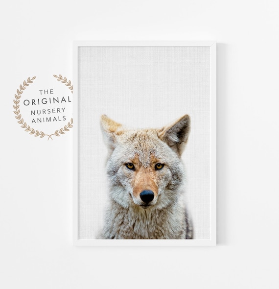 Coyote Print - Woodland Animal Nursery Decor - Boys Room Poster - Printable Digital Download