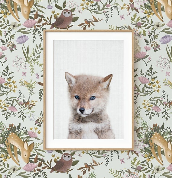 Baby Coyote Pup Wall Art Print - Nursery Animal Decor ~ Printable Digital Download